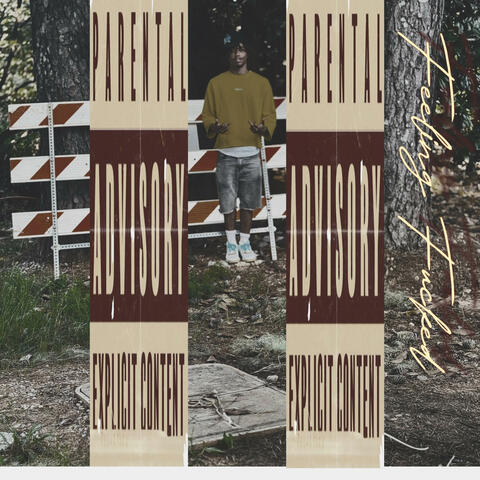 Feeling Fucked album art