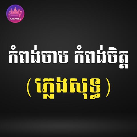 កំពង់ចាម កំពង់ចិត្ត ភ្លេងសុទ្ធ album art