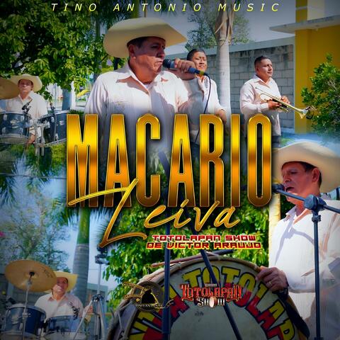 Macario Leyva album art
