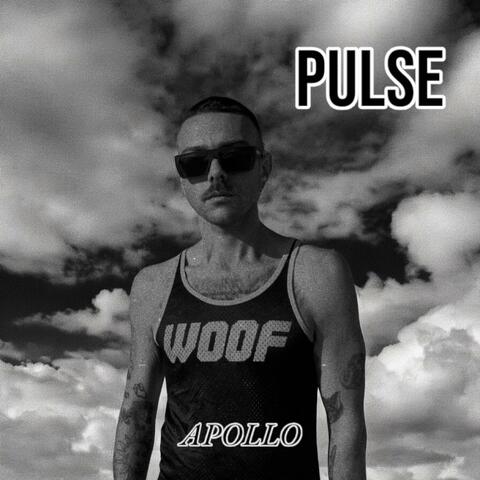 PULSE album art