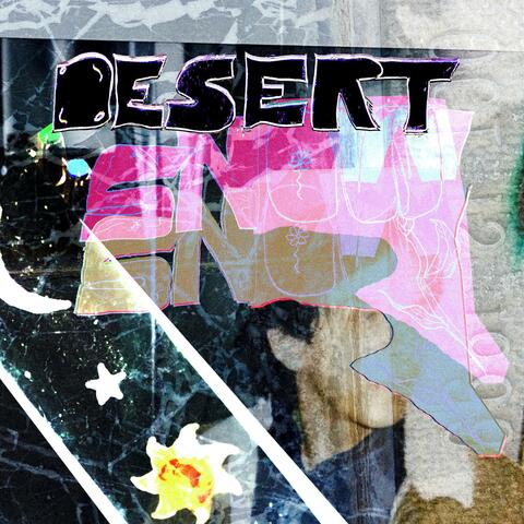 Desert Snow album art