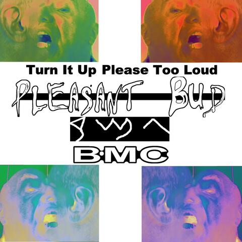 Turn It Up Please Too Loud album art