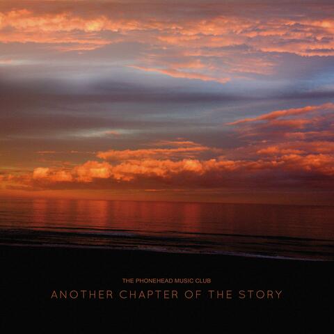 Another Chapter Of The Story album art