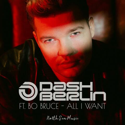 All I Want album art
