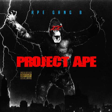 Project Ape album art