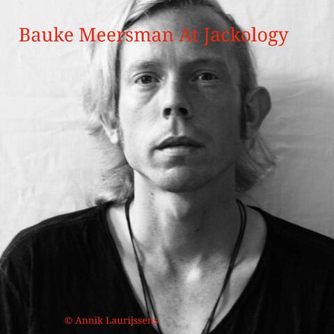 Bauke Meersman At Jackology album art