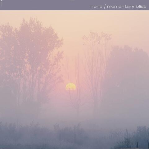 Momentary Bliss album art