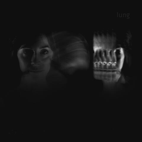 Lung (Vines version) album art