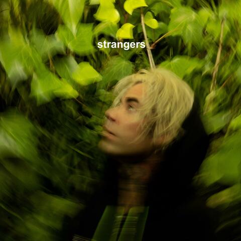 Strangers album art