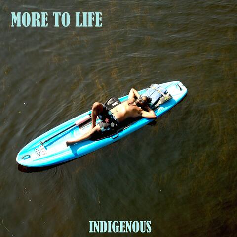 more to life album art