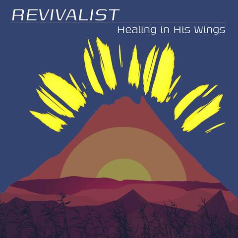 Healing in His Wings album art