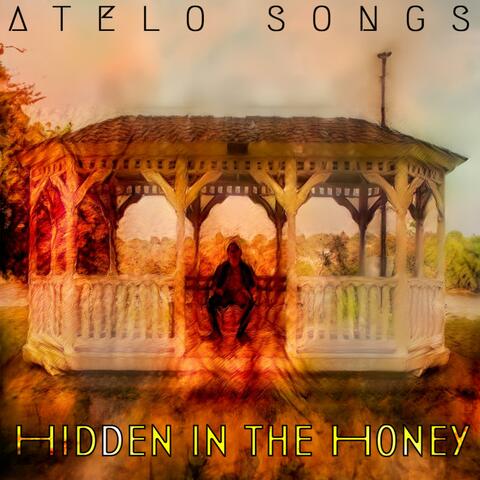 Hidden in the Honey album art