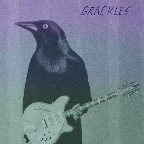 Grackles album art