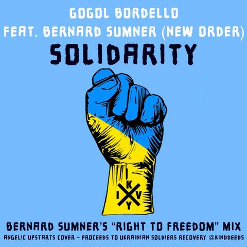 Solidarity (feat. Bernard Sumner (New Order)) [Bernard Sumner’s “Right To Freedom” Mix] album art