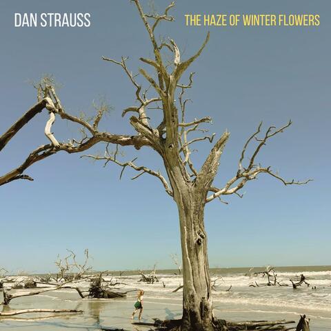 The Haze Of Winter Flowers album art