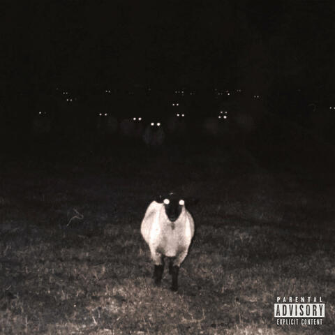 Leader of Sheep album art