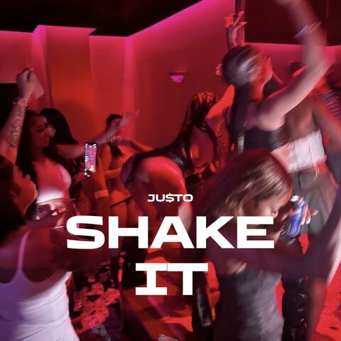 Shake It album art