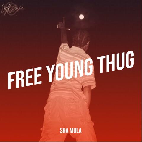 FREE YOUNG THUG album art