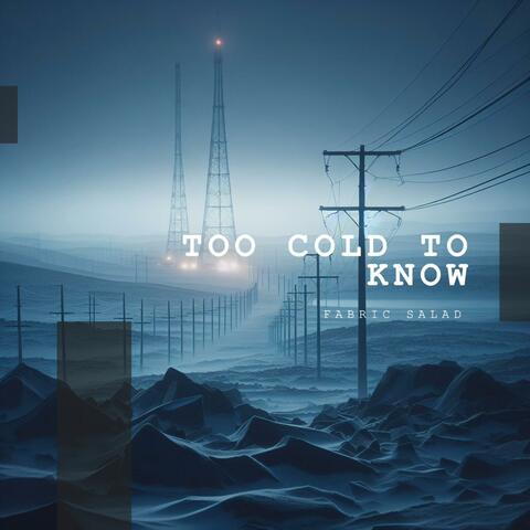 Too Cold To Know album art