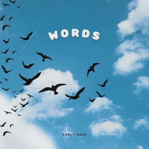 Words album art