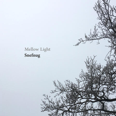 Snefnug album art
