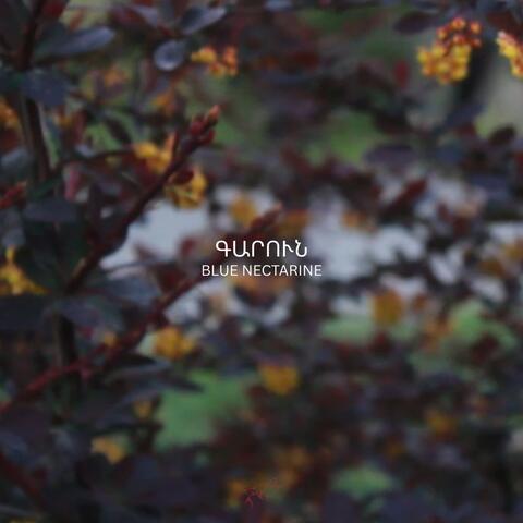 Գարուն album art