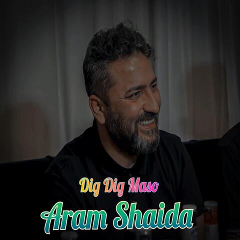 Dig Dig Maso album art