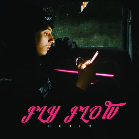 Fly Flow album art