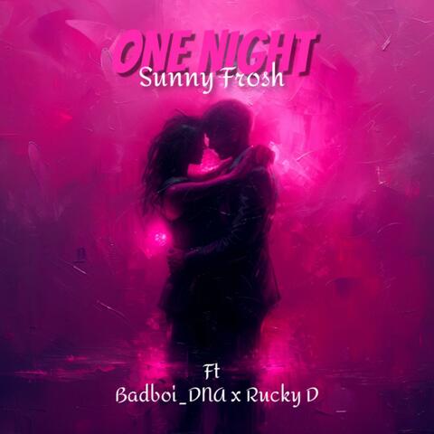 ONE NIGHT album art