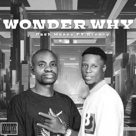 Wonder Why (feat. Brency) album art