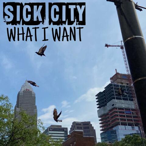 What I Want album art