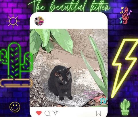 The beutiful kitten (Deluxe Edition) album art