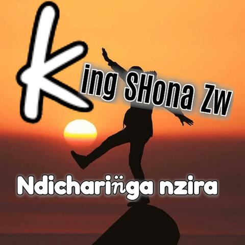 Ndicharinga nzira album art