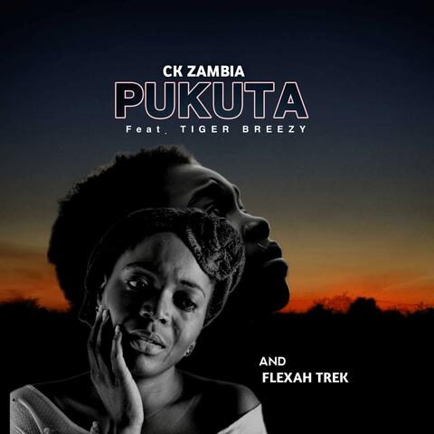Pukuta (feat. Flexah Trek & Tiger Breezy) album art