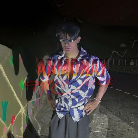 Anmonay₊˚⊹ ᰔ album art