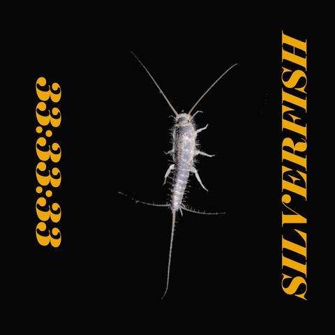 33:33:33 album art