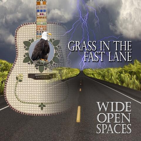 Grass In the Fast Lane album art