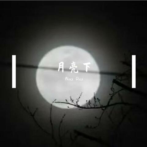 月亮下 album art