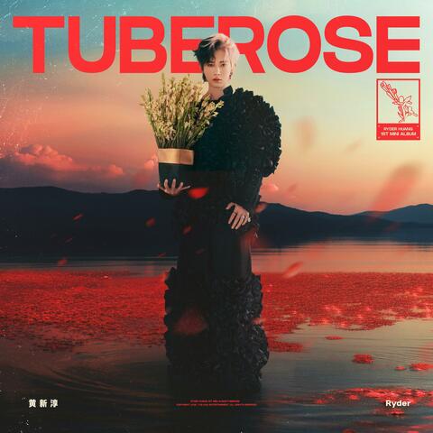 晚香玉 album art