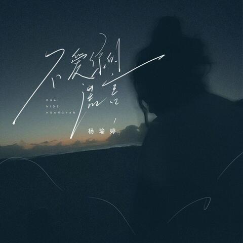 不爱你的谎言 album art
