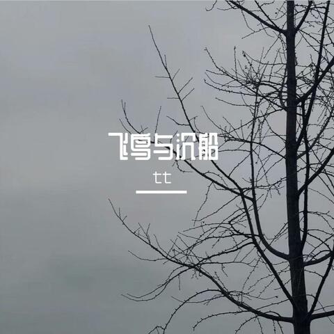 飞鸟与沉船 album art