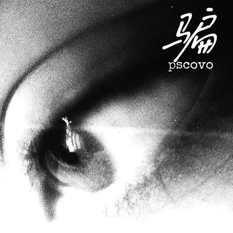 骗 album art