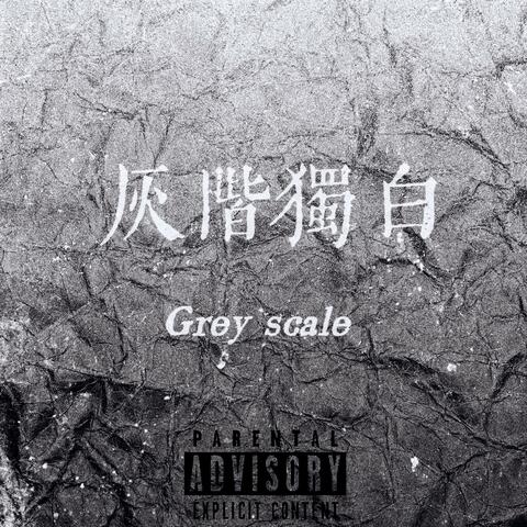 灰阶独白 album art