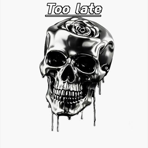 Too late album art