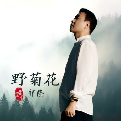 野菊花 album art