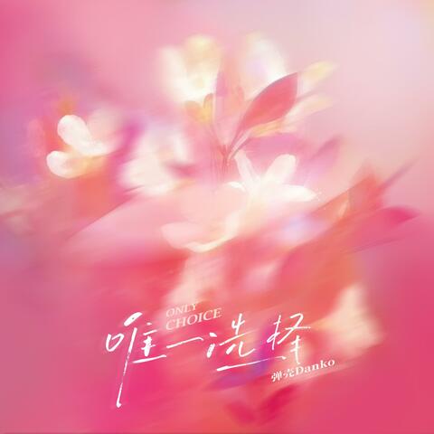 唯一选择 album art