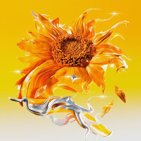 太阳花 album art
