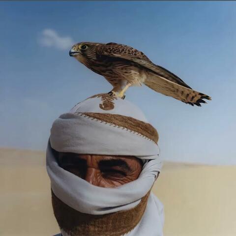 寻麻疹 album art