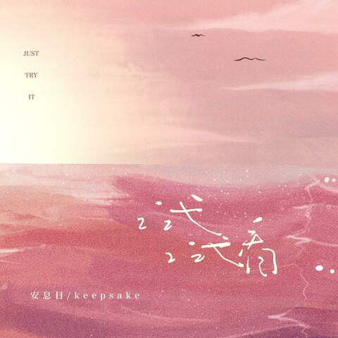 试试看 album art