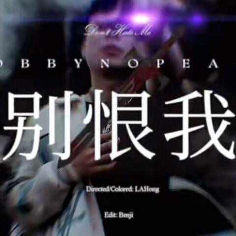 别恨我(BOBBYNOPEACE) album art